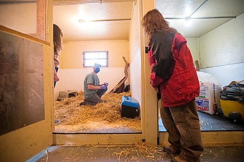 MIKAELA MACKENZIE / WINNIPEG FREE PRESS

Veterinarian Justin Rosing chats with Judy Stearns while doing a check-up on the cub at the black bear rehabilitation centre near Stonewall on Sunday, April 25, 2021. For Eva Wasney story.
Winnipeg Free Press 2020.