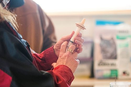 MIKAELA MACKENZIE / WINNIPEG FREE PRESS

Judy Stearns puts formula in a syringe with a nipple for the cub at the black bear rehabilitation centre near Stonewall on Sunday, April 25, 2021. For Eva Wasney story.
Winnipeg Free Press 2020.