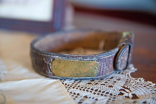 MIKE DEAL / WINNIPEG FREE PRESS
The family dog, Bobs, had a collar with engraved name plate.
Eric Napier Strong, curator and manager of the Seven Oaks House Museum (50 Mac Street) during a behind the scenes look at some of the rarely seen artifacts in Winnipeg's oldest home turned museum.
See Brenda Suderman story
210511 - Tuesday, May 11, 2021.