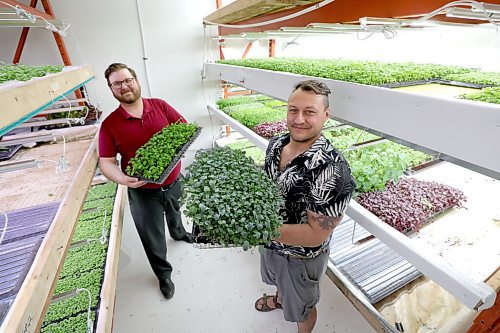 RUTH BONNEVILLE / WINNIPEG FREE PRESS

ENT - 3 Guys Green

Adam Dudek and Scott Hyndman (red shirt), hold trays of micro greens that are loaded with nutrients and are part of their mixed green subscription program.  

Subject: Adam Dudek and Scott Hyndman are the founders and co-owners of 3 Guys Greens, a local vertical farming company that specializes in growing microgreens and basil year-round. Theyre launching a new salad subscription service that will allow Winnipeggers to receive weekly packages of local greens and salad dressings.

Running in arts on Saturday.

Eva Wasney story 

May 11, 2021

