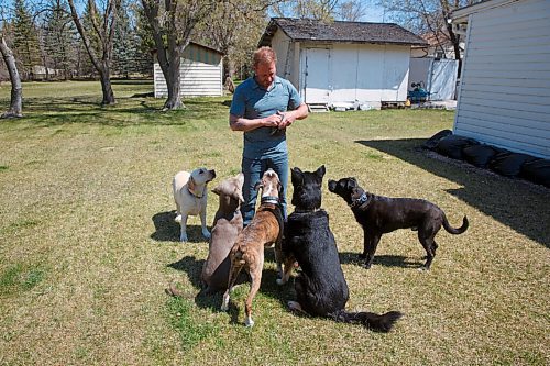 MIKE DEAL / WINNIPEG FREE PRESS
Yury Harczan a professional dog trainer who trained Anita Hart's service dog, Yury lives on six acres and has his own pack of dogs.
From left; Ecko, Grizz, Chewy, Chops, and Tux.
See Sabrina Carnevale story
210513 - Thursday, May 13, 2021.