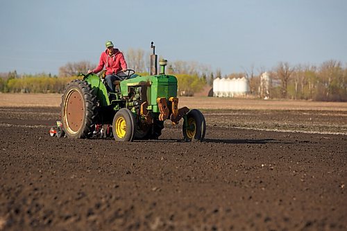 MIKE DEAL / WINNIPEG FREE PRESS
Wild Earth Farms, Jeff Veenstra, plants beets seeds on his farm Friday morning.
The start of the growing season at Wild Earth Farms, which is on Garven Road close the intersection of hwy 206 near Oakbank.
See Ben Sigurdson farm-to-table feature story
210514 - Friday, May 14, 2021.