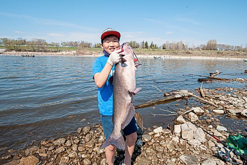 MIKE SUDOMA / WINNIPEG FREE PRESS  
10 year old Eunhu Yoo holds up a freshly caught channel Catfish in Lockport Saturday morning
May 15, 2021