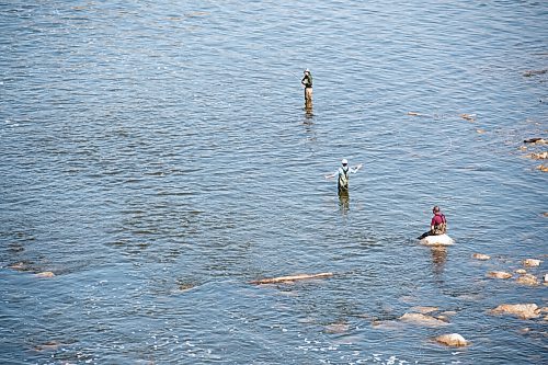 MIKE SUDOMA / WINNIPEG FREE PRESS  
Fishermen fast off in the waters of Lockport, Manitoba as fishing officially opened Saturday.
May 15, 2021