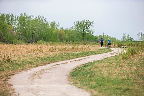 MIKAELA MACKENZIE / WINNIPEG FREE PRESS

Ellen Reimann and Rick Mills go for a walk with their dogs at the Transcona Bioreserve in Winnipeg on Wednesday, May 19, 2021.  Standup.
Winnipeg Free Press 2020.