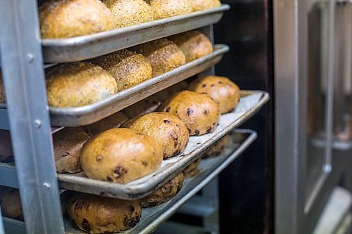 MIKAELA MACKENZIE / WINNIPEG FREE PRESS

Freshly baked lemon poppyseed (top) and chocolate chip bagels at Salt and Sunshine Bagels in their rented kitchen space at the Irish Association in Winnipeg on Thursday, May 20, 2021.  For Eva Wasney story.
Winnipeg Free Press 2020.