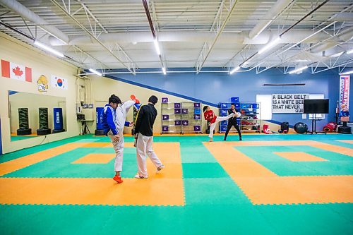 MIKAELA MACKENZIE / WINNIPEG FREE PRESS

Taekwondo athlete Skylar Park trains with her dad, Jae, and brothers, Braven and Tae-Ku, at TRP Academy of Martial Arts in Winnipeg on Friday, May 21, 2021. For Mike Sawatzky story.
Winnipeg Free Press 2020.