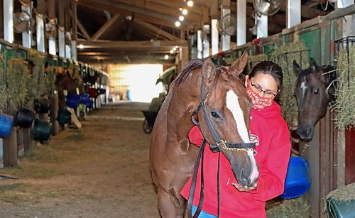 George Williams / Winnipeg Free Press
Jennifer Tourangeau, Assistant trainer for Jerry Gourneau, with Wednesday evening's One Night Lover Overnight Stakes winner St. Louie Guy, on Thursday morning at the Downs.