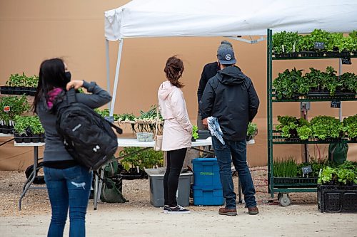 Daniel Crump / Winnipeg Free Press. Visitors browse at the St. Norbert Farmers Market. The market is able to stay open at reduced capacity during the current public health orders. May 29, 2021.