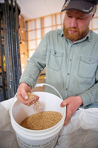 MIKE DEAL / WINNIPEG FREE PRESS
Benjamin Unrau, an organic farmer near McGregor who grows Red Fife wheat - the variety that was first used on the Prairies when settlers began farming in Manitoba in the late 1800s.
Benjamin opens a large container of Red Fife wheat that is kept in storage until a customer orders some to be milled.
See Alan Small Farm-to-table feature
210604 - Friday, June 04, 2021.