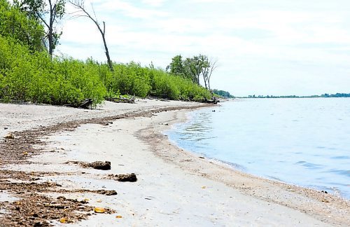 RUTH BONNEVILLE / WINNIPEG FREE PRESS

Local - St. Ambroise Beach

For Kevin Rollason's story on how the province is  selling or leasing out Manitoba parks.  

June 07, 2021
