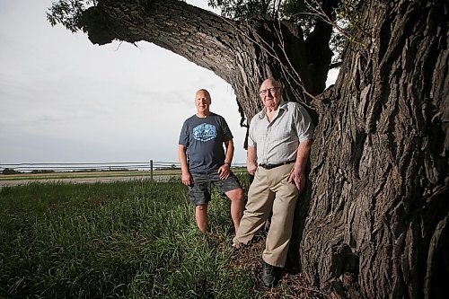JOHN WOODS / WINNIPEG FREE PRESS
Donald Coubrough, whose grandfather, Walter Smith, planted two willows at the end of their property, and his son Kevin visit The North Half-Way Tree beside the Trans-Canada highway Tuesday, June 8, 2021. Two large trees along the highway claim to be the half-way point between Brandon and Winnipeg.

Reporter: Duguay