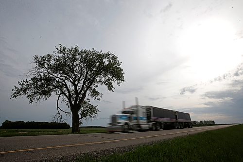 JOHN WOODS / WINNIPEG FREE PRESS
The South Half-Way Tree beside the Trans-Canada highway Tuesday, June 8, 2021. Two large trees along the highway claim to be the half-way point between Brandon and Winnipeg.

Reporter: Duguay