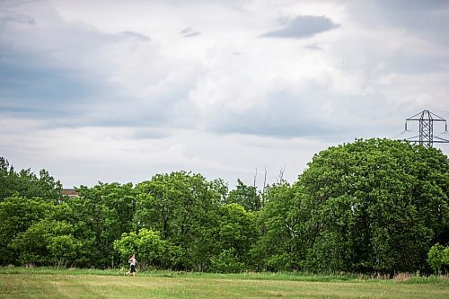 MIKAELA MACKENZIE / WINNIPEG FREE PRESS

Logan Bresciana goes for a run in hot and humid conditions, with clouds threatening rain above, at Marlene Street Park in Winnipeg on Wednesday, June 9, 2021. Standup.
Winnipeg Free Press 2021.