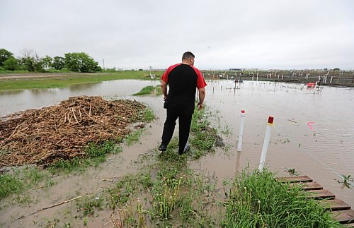 RUTH BONNEVILLE / WINNIPEG FREE PRESS

Weather Standup

Hamas Alamaian walks out to his garden plot  at the St. James Horticultural Society plots that is flooded along with others after downpour on Wednesday.  Alamaian's family has had the garden for a couple years and had planted green beans, tomatoes, alfalfa bean sprouts and other vegetables that may be damaged in the high water.  


June 09,, 2021

