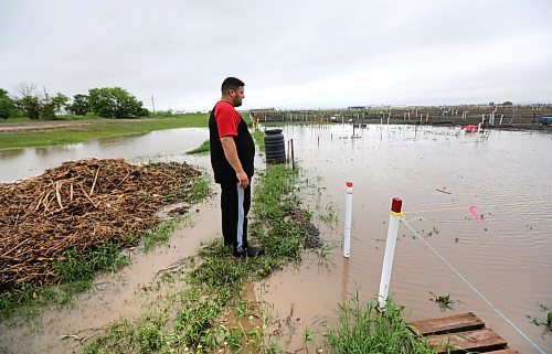 RUTH BONNEVILLE / WINNIPEG FREE PRESS

Weather Standup

Hamas Alamaian walks out to his garden plot  at the St. James Horticultural Society plots that is flooded along with others after downpour on Wednesday.  Alamaian's family has had the garden for a couple years and had planted green beans, tomatoes, alfalfa bean sprouts and other vegetables that may be damaged in the high water.  


June 09,, 2021

