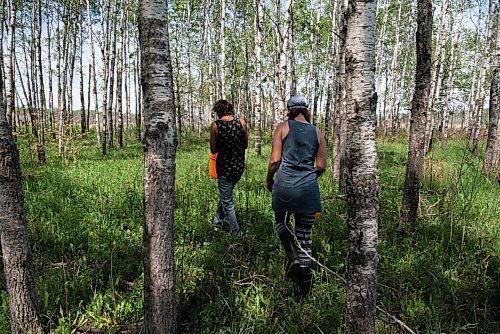 ALEX LUPUL / WINNIPEG FREE PRESS  

David and Caitlin Beer, owners of the western Manitoba based company Wildland Foods, look for wild mushrooms at one of their secret locations on Saturday, June 5, 2021. The couple started out supplying restaurants and wholesalers before expanding to public sales in 2020.

Reporter: Ben Waldman