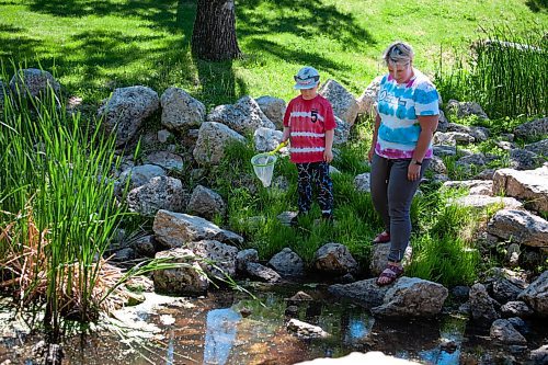Daniel Crump / Winnipeg Free Press. Heather Jagger and her son Parker Davidson catch tadpoles at a creek in Kildonan Park. June 12, 2021.