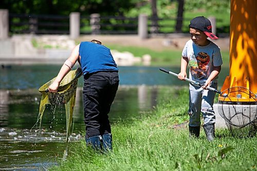 Daniel Crump / Winnipeg Free Press. Brothers, Nicco (7) and Rocco (5) catch frogs and tadpoles at the duck pond in Kildonan park on a warm sunny Saturday afternoon. June 12, 2021.