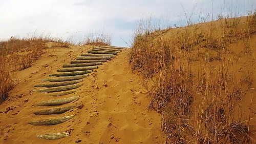 Canstar Community News Its a good idea to remember that hiking in sand takes more effort than hiking on solid ground, but the dune ladders do help.