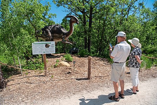 ALEX LUPUL / WINNIPEG FREE PRESS  

Visitors to the Assiniboine Zoo view an animatronic Parasaurolophus on display in its newest attraction, Dinosaurs Uncovered, in Winnipeg on Monday, June 14, 2021. The attraction features 17 life-size animatronic dinosaurs along a forested trail in the northwest area of the Zoo.

Reporter: Malak Abas