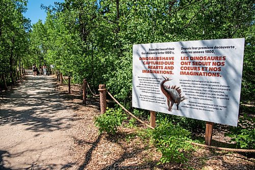 ALEX LUPUL / WINNIPEG FREE PRESS  

A sign welcomes visitors to the Assiniboine Zoo's newest attraction, Dinosaurs Uncovered, in Winnipeg on Monday, June 14, 2021. The attraction features 17 life-size animatronic dinosaurs along a forested trail in the northwest area of the Zoo.

Reporter: Malak Abas