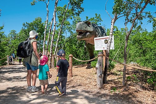 ALEX LUPUL / WINNIPEG FREE PRESS  

Visitors to the Assiniboine Zoo view an animatronic Giganotosaurus on display in its newest attraction, Dinosaurs Uncovered, in Winnipeg on Monday, June 14, 2021. The attraction features 17 life-size animatronic dinosaurs along a forested trail in the northwest area of the Zoo.

Reporter: Malak Abas