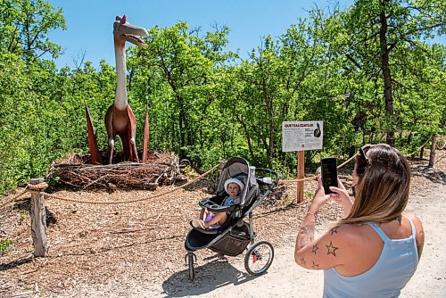 ALEX LUPUL / WINNIPEG FREE PRESS  

Visitors to the Assiniboine Zoo view an animatronic Quetzalcoatlus on display in its newest attraction, Dinosaurs Uncovered, in Winnipeg on Monday, June 14, 2021. The attraction features 17 life-size animatronic dinosaurs along a forested trail in the northwest area of the Zoo.

Reporter: Malak Abas