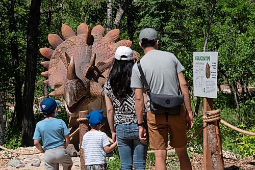 ALEX LUPUL / WINNIPEG FREE PRESS  

Visitors to the Assiniboine Zoo view an animatronic Regaliceratops on display in its newest attraction, Dinosaurs Uncovered, in Winnipeg on Monday, June 14, 2021. The attraction features 17 life-size animatronic dinosaurs along a forested trail in the northwest area of the Zoo.

Reporter: Malak Abas