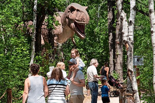 ALEX LUPUL / WINNIPEG FREE PRESS  

Visitors to the Assiniboine Zoo view an animatronic Western/Occidental Tyrannosaurs on display in its newest attraction, Dinosaurs Uncovered, in Winnipeg on Monday, June 14, 2021. The attraction features 17 life-size animatronic dinosaurs along a forested trail in the northwest area of the Zoo.

Reporter: Malak Abas