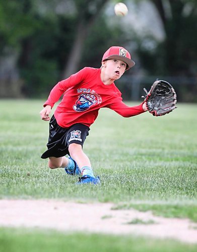 RUTH BONNEVILLE / WINNIPEG FREE PRESS

Standup

Brothers Nathan Dahl (front- 10yrs) and Cameron (7yrs, Not in this photo), catch fly balls that their dad, Lindsey hits toward to catch  them at Crescentwood CC baseball diamond Friday.  afternoon.  


June 18,, 2021

