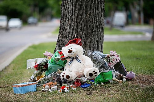 JOHN WOODS / WINNIPEG FREE PRESS
A memorial for a 12 year old child who was killed is set up beside a tree in the 200 block of Burrows Ave Monday, June 21, 2021. 

Reporter: ?