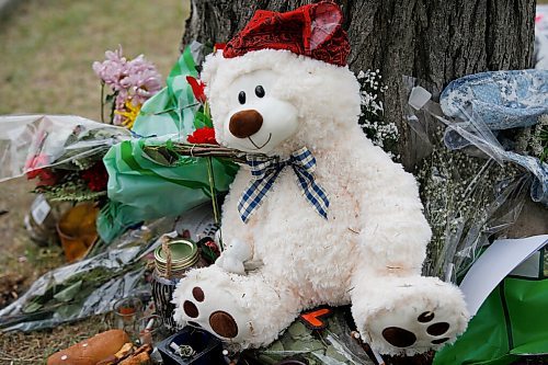 JOHN WOODS / WINNIPEG FREE PRESS
A memorial for a 12 year old child who was killed is set up beside a tree in the 200 block of Burrows Ave Monday, June 21, 2021. 

Reporter: ?