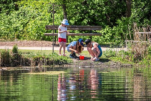 MIKAELA MACKENZIE / WINNIPEG FREE PRESS

Dorothy Drewes (six, left), Viana Brito (nine), and Erin Kent (10) catch tadpoles at the duck pond at Assiniboine Park in Winnipeg on Wednesday, June 23, 2021. Standup.
Winnipeg Free Press 2021.