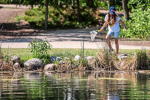 MIKAELA MACKENZIE / WINNIPEG FREE PRESS

Viana Brito, nine, catches tadpoles at the duck pond at Assiniboine Park in Winnipeg on Wednesday, June 23, 2021. Standup.
Winnipeg Free Press 2021.