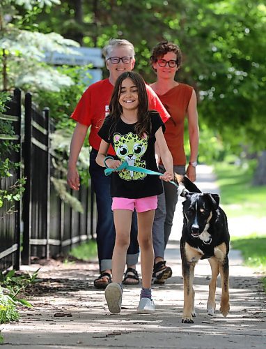 RUTH BONNEVILLE / WINNIPEG FREE PRESS

49.8 VIRUS THREE FAMILIES: following three families in 3 different types of schooling. 
 
Anna Milne-Karn (Grade 3), trains her dog Linden, with the help of moms, Luanne Karn (red shirt)  and Heather Milne, Thursday.  

Story: following three families  a homeschooling family, remote learning family and in-class instruction family  to document their learning curves during the pandemic. The last (fourth) edition will run July 3.

June 24,, 2021

