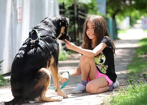 RUTH BONNEVILLE / WINNIPEG FREE PRESS

49.8 VIRUS THREE FAMILIES: following three families in 3 different types of schooling. 
 
Anna Milne-Karn (Grade 3), trains her dog Linden, with the help of moms, Luanne Karn  and Heather Milne, Thursday.  

Story: following three families  a homeschooling family, remote learning family and in-class instruction family  to document their learning curves during the pandemic. The last (fourth) edition will run July 3.

June 24,, 2021

