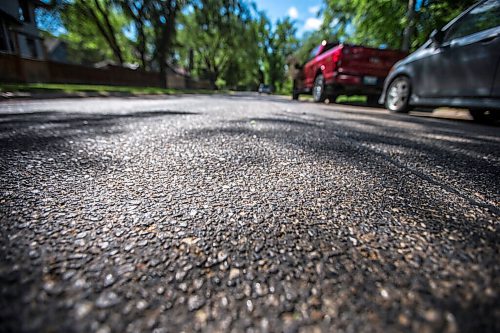 MIKAELA MACKENZIE / WINNIPEG FREE PRESS

The sun reflects off of streets sticky with aphid poop on Casey Street in Riverview on Monday, June 28, 2021. For --- story.
Winnipeg Free Press 2021.