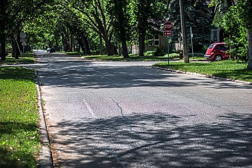 MIKAELA MACKENZIE / WINNIPEG FREE PRESS

The sun reflects off of streets sticky with aphid poop on Casey Street in Riverview on Monday, June 28, 2021. For --- story.
Winnipeg Free Press 2021.