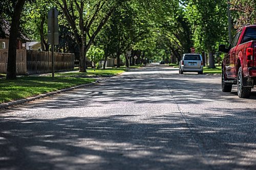 MIKAELA MACKENZIE / WINNIPEG FREE PRESS

The sun reflects off of streets sticky with aphid poop on Casey Street in Riverview on Monday, June 28, 2021. For --- story.
Winnipeg Free Press 2021.