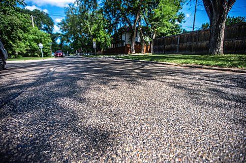 MIKAELA MACKENZIE / WINNIPEG FREE PRESS

The sun reflects off of streets sticky with aphid poop on Casey Street in Riverview on Monday, June 28, 2021. For --- story.
Winnipeg Free Press 2021.