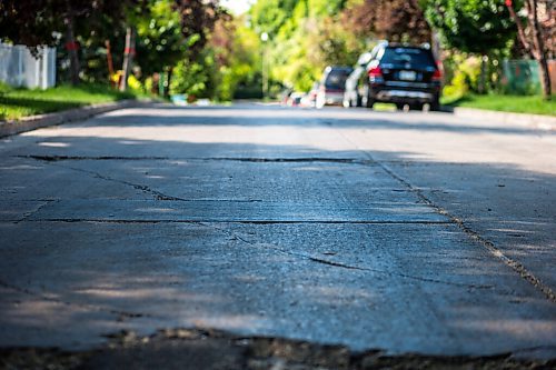 MIKAELA MACKENZIE / WINNIPEG FREE PRESS

The sun reflects off of streets sticky with aphid poop on Telfer Street in Wolseley on Monday, June 28, 2021. For --- story.
Winnipeg Free Press 2021.