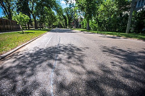 MIKAELA MACKENZIE / WINNIPEG FREE PRESS

The sun reflects off of streets sticky with aphid poop on Casey Street in Riverview on Monday, June 28, 2021. For --- story.
Winnipeg Free Press 2021.