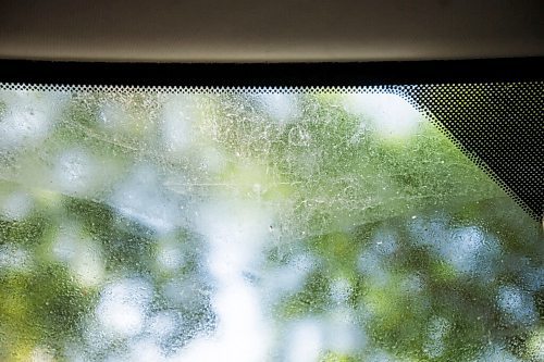 MIKAELA MACKENZIE / WINNIPEG FREE PRESS

A sticky windshield covered in aphid poop after a night under Wolseley tree canopy in Winnipeg on Monday, June 28, 2021. For --- story.
Winnipeg Free Press 2021.