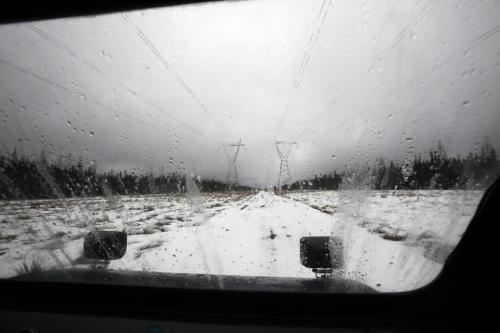 BORIS.MINKEVICH@FREEPRESS.MB.CA BORIS MINKEVICH / WINNIPEG FREE PRESS  100309 Wood Bison at Chitek Lake. View from inside the Bombardier that took us to the cabin near the bison area.