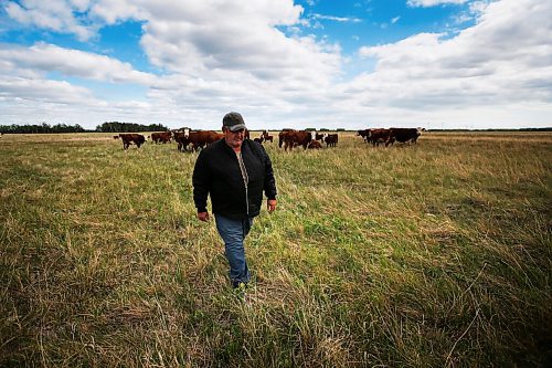 JOHN WOODS / WINNIPEG FREE PRESS
Tom Johnson, a cattle farmer, tends to his cattle on his farm near Oak Point north of Winnipeg Tuesday, July 6, 2021. Johnson and other farmers north of Winnipeg are experiencing draught conditions.

Reporter: Pindera