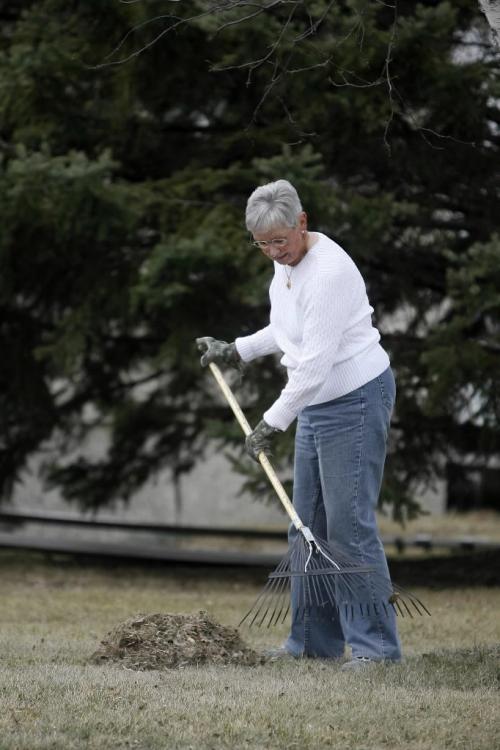 MIKE.DEAL@FREEPRESS.MB.CA 100401 - Thursday, April 1st, 2010 Westwood resident Pat, rakes her yard. Now that the weather has allowed people to clean up their yards, people are asking what are they supposed to do with the waste.... the city's website hasn't been updated since November according to another area resident Dorothy Stephens. See Adam Wazney story MIKE DEAL / WINNIPEG FREE PRESS