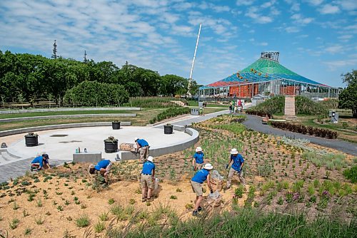 ALEX LUPUL / WINNIPEG FREE PRESS  

Parks employees lay garden straw around the flowers at the Outdoor Gardens at The Leaf on Friday, July 9, 2021. The gardens officially opened to the public on Friday.

Reporter: Gillian Brown