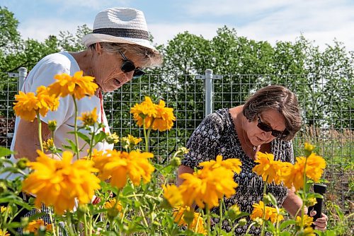 ALEX LUPUL / WINNIPEG FREE PRESS  

Gerri Tooth and Pat McBeth admire the flowers at the Outdoor Gardens at The Leaf on Friday, July 9, 2021. The gardens officially opened to the public on Friday.

Reporter: Gillian Brown