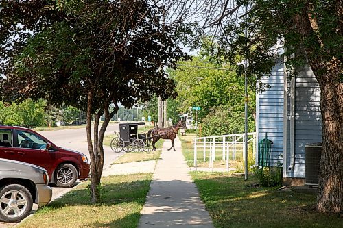 MIKE DEAL / WINNIPEG FREE PRESS
A horse drawn buggy makes its way through the town of Gladstone, MB, where Eileen Clarke the MLA for Agassiz is from.
210716 - Friday, July 16, 2021.
